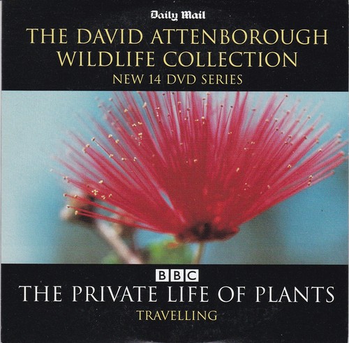 The david attenborough - david,